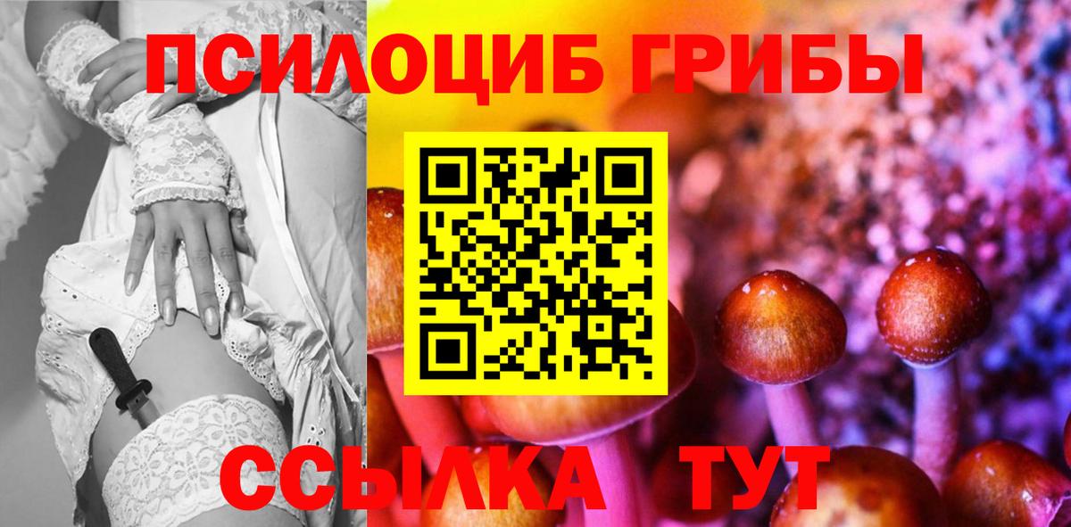 Кузнецк  Галлюциногенные грибы мицелий  Вход с VPN  Псилоцибиновые грибы прущие грибы 